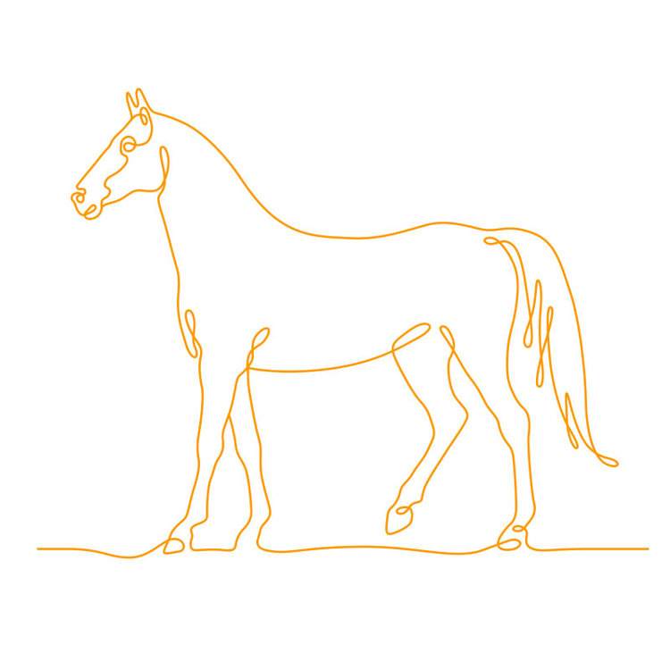 Dogman - brand illustrations - horse
