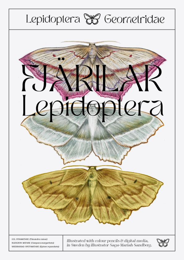Lepidoptera Exhibition poster