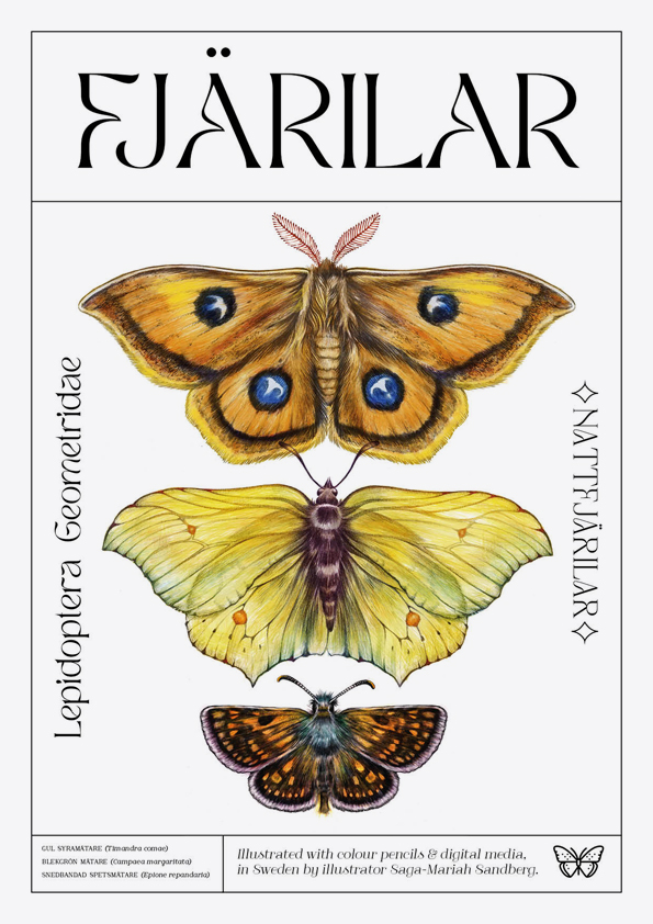 Lepidoptera Exhibition poster